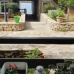 Renissa's