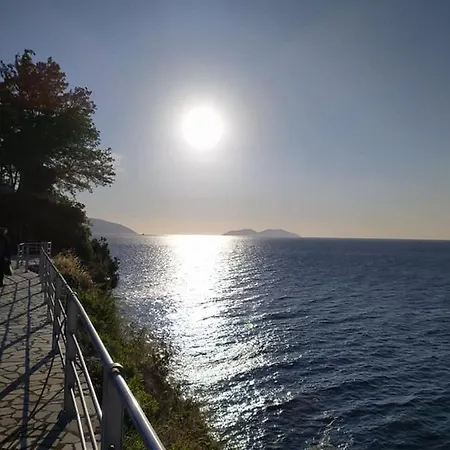 Renissa's * Vlore