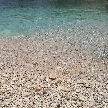 Renissa's * Vlore