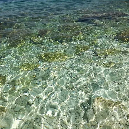 Renissa's Vlore
