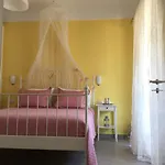 Renissa's Vlora