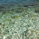 Renissa's Vlorë