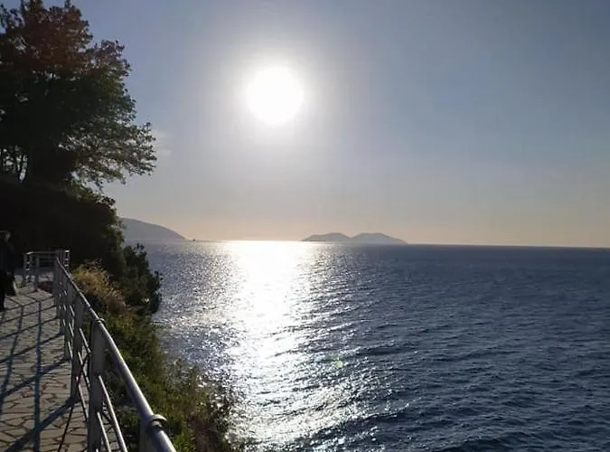 Renissa's * Vlorë