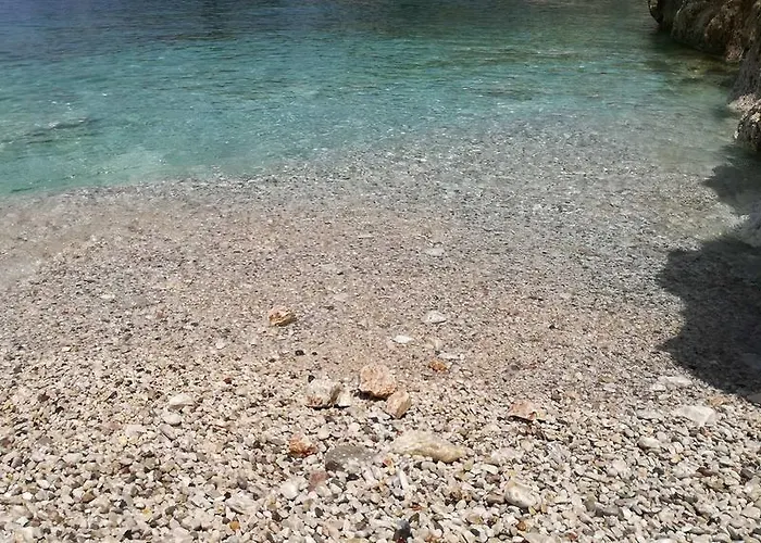 Renissa's * Vlorë