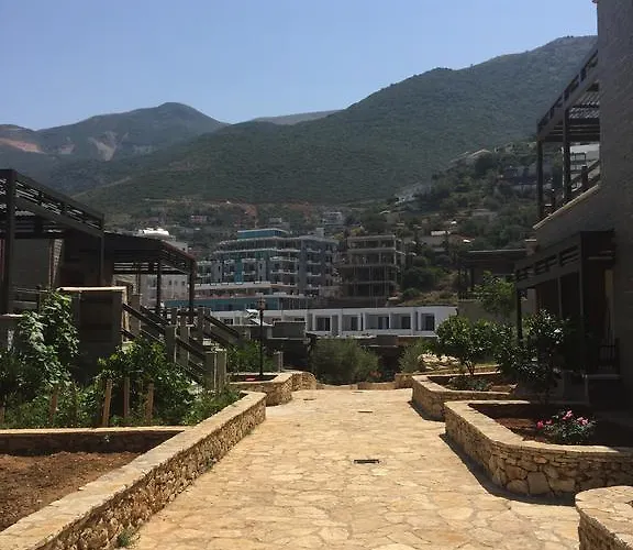 Renissa's * Vlore