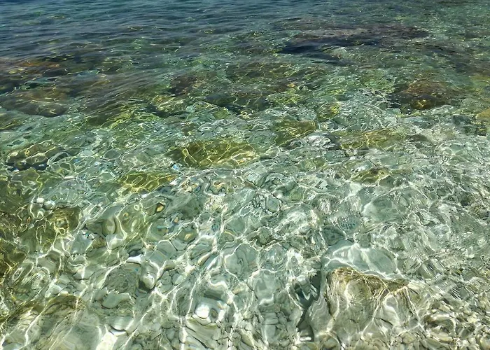 Renissa's Vlore